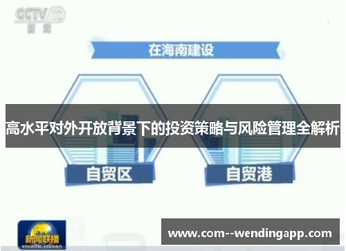 高水平对外开放背景下的投资策略与风险管理全解析