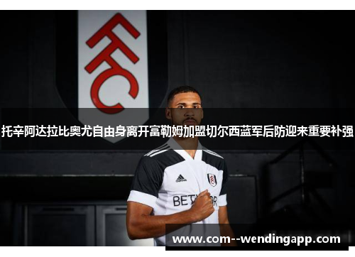 托辛阿达拉比奥尤自由身离开富勒姆加盟切尔西蓝军后防迎来重要补强